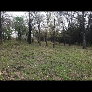 Meet your Posher, Edward